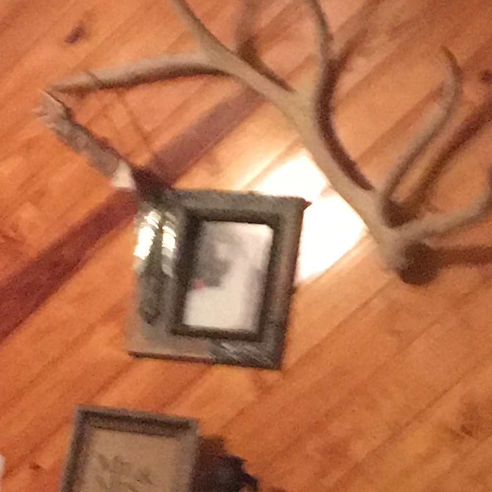 Meet your Posher, Charlotte